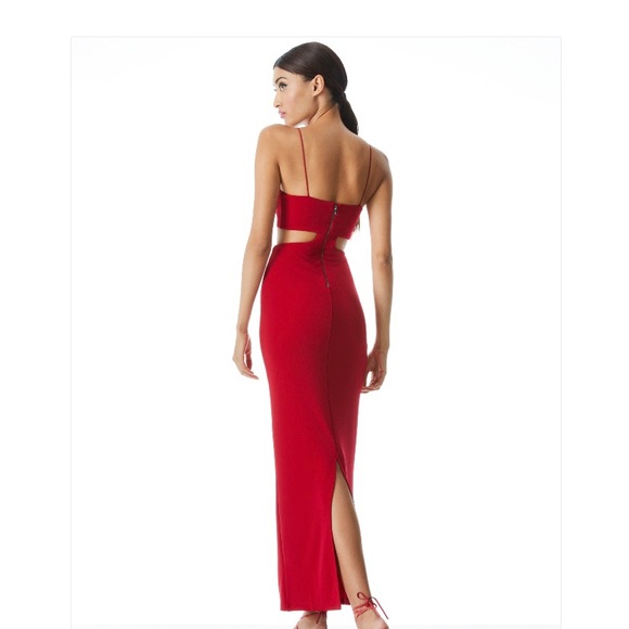 Alice and Olivia Red Havana Cut Out Maxi Dress BRAND NEW WITH TAGS - Picture 2 of 2